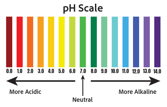 Image of a pH scale by color and number, from 0.0 (most acidic, in red) to 14.0 (most alkaline, purple)
