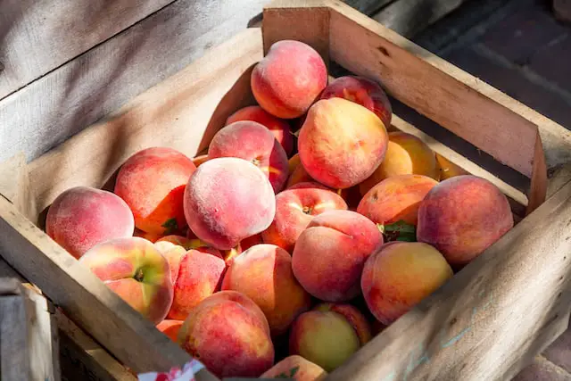 Image of a wooden crate full of ripe red peaches.