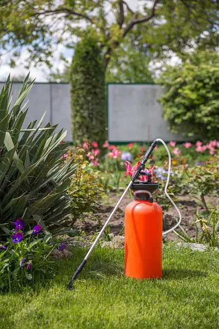 Image of a pump sprayer in a garden.
