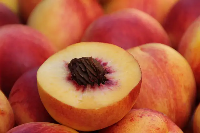 Photo of a yellow peach, cut in half, showing a healthy and whole peach pit.