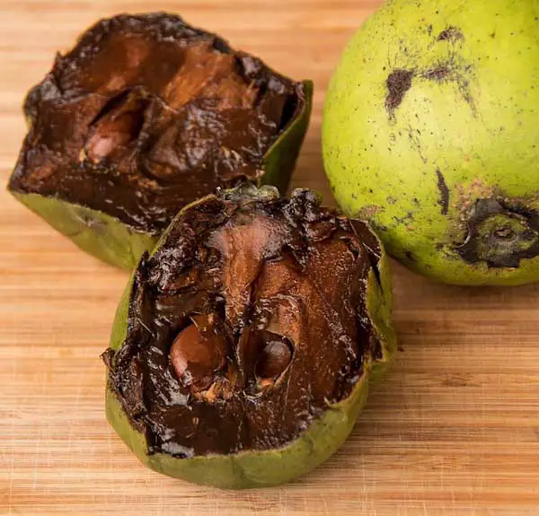 Image of a black sapote (Diospyros nigra) or "chocolate pudding fruit," cut in half.