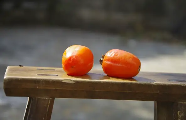 Image of two bright orange, oblong, soft-ripe Asian persimmons on a wooden bench.