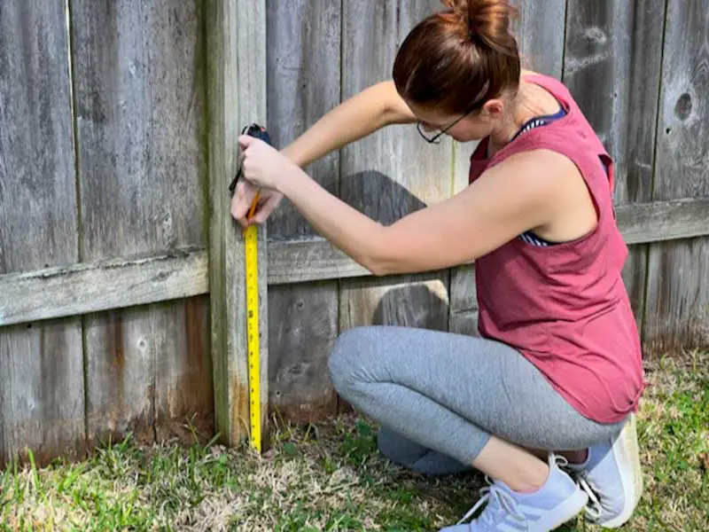 Image of a woman measuring 18 inches up from the ground on a wooden fence post.