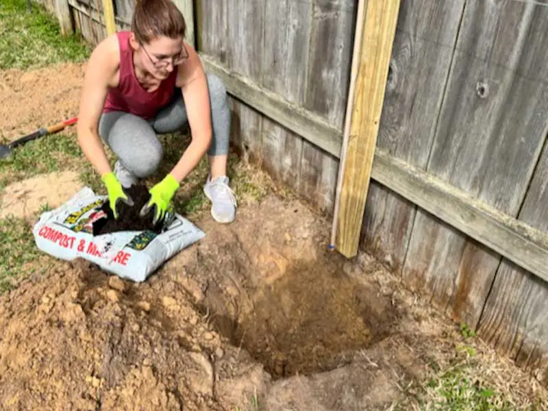 Image of a woman putting compost into a 3-foot-wide planting hole.