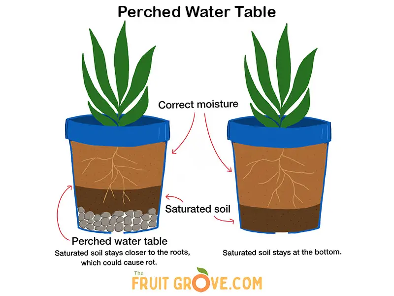 Graphic illustration of two potted plants. On the left, a pot has gravel in the bottom with saturated soil above the gravel, surrounding the roots of the plant. On the left, a pot has no gravel, so the saturated soil stays at the bottom of the pot below the roots.